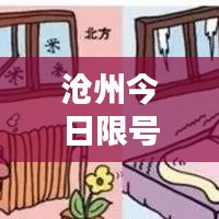 沧州今日限号信息更新解析速递