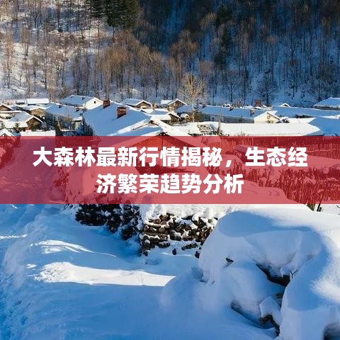 大森林最新行情揭秘，生态经济繁荣趋势分析