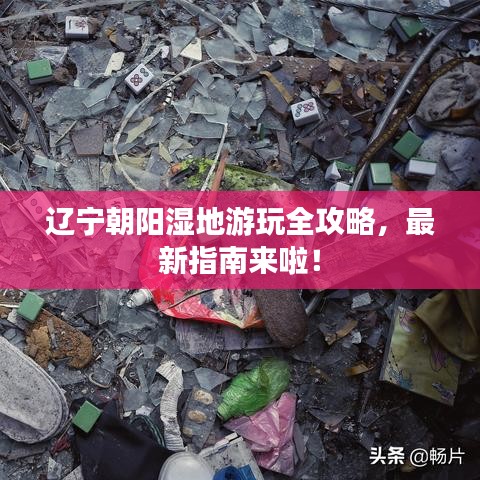 辽宁朝阳湿地游玩全攻略，最新指南来啦！