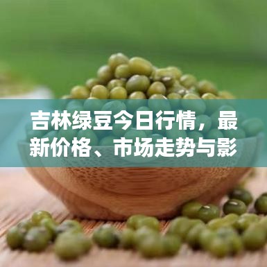 吉林绿豆今日行情，最新价格、市场走势与影响因素深度解析