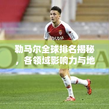 勒马尔全球排名揭秘，各领域影响力与地位不可小觑