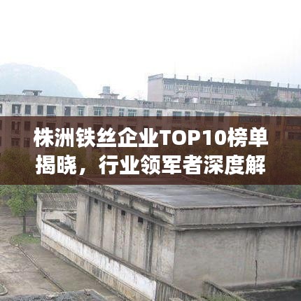 株洲铁丝企业TOP10榜单揭晓，行业领军者深度解读