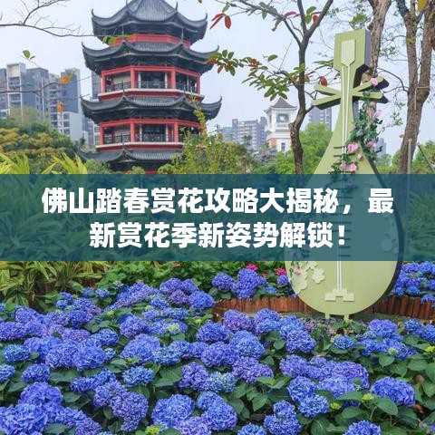 佛山踏春赏花攻略大揭秘，最新赏花季新姿势解锁！