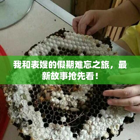 我和表嫂的假期难忘之旅，最新故事抢先看！