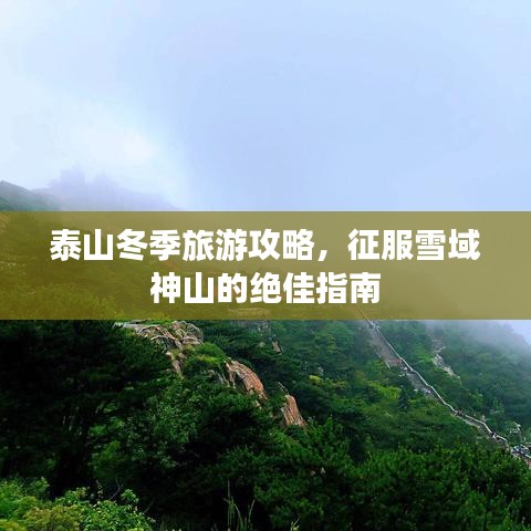 泰山冬季旅游攻略，征服雪域神山的绝佳指南