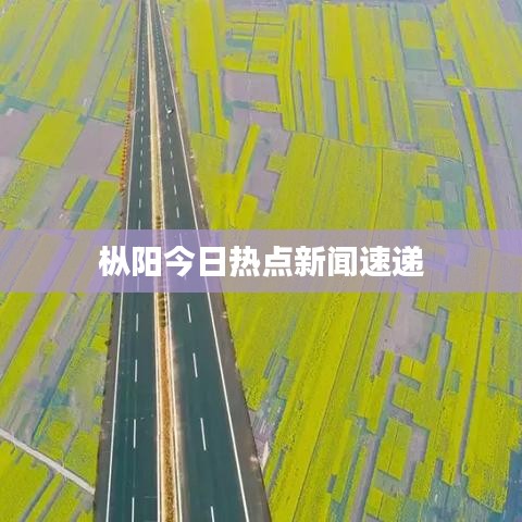 枞阳今日热点新闻速递