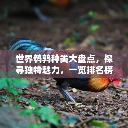 世界鹌鹑种类大盘点，探寻独特魅力，一览排名榜单