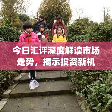 今日汇评深度解读市场走势，揭示投资新机遇视频发布