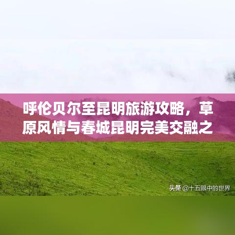 呼伦贝尔至昆明旅游攻略，草原风情与春城昆明完美交融之旅
