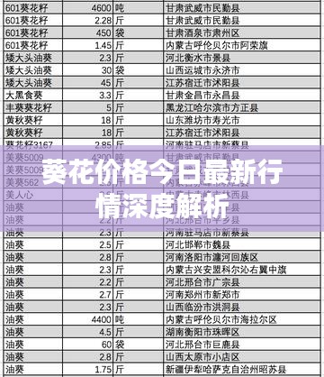 葵花价格今日最新行情深度解析