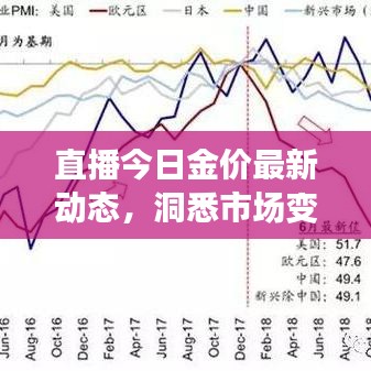 直播今日金价最新动态，洞悉市场变化，把握黄金投资先机