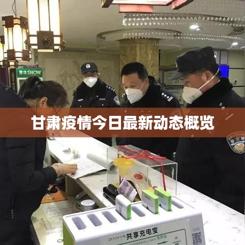甘肃疫情今日最新动态概览