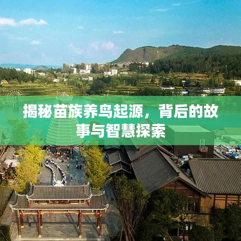 揭秘苗族养鸟起源，背后的故事与智慧探索