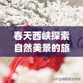 春天西峡探索自然美景的旅游攻略大全！