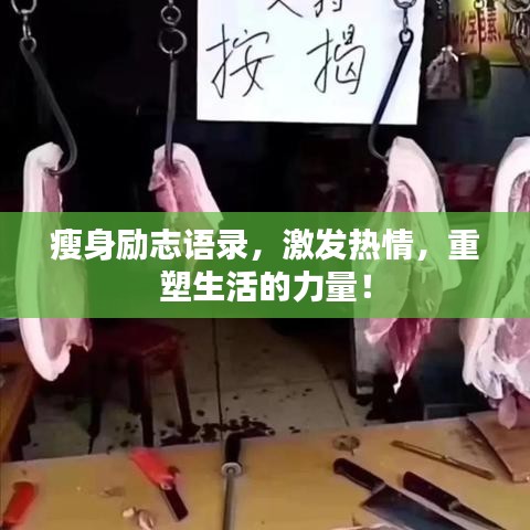 瘦身励志语录，激发热情，重塑生活的力量！