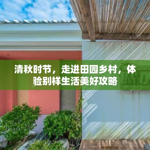 清秋时节，走进田园乡村，体验别样生活美好攻略