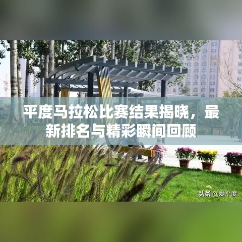 平度马拉松比赛结果揭晓，最新排名与精彩瞬间回顾
