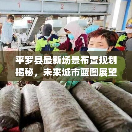 平罗县最新场景布置规划揭秘，未来城市蓝图展望