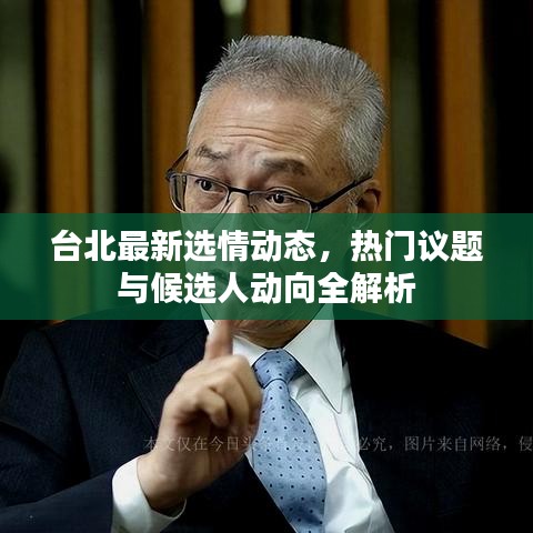 台北最新选情动态，热门议题与候选人动向全解析
