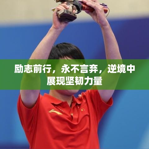 励志前行，永不言弃，逆境中展现坚韧力量