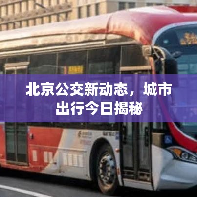 北京公交新动态，城市出行今日揭秘