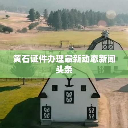 黄石证件办理最新动态新闻头条