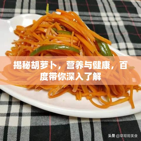 揭秘胡萝卜，营养与健康，百度带你深入了解