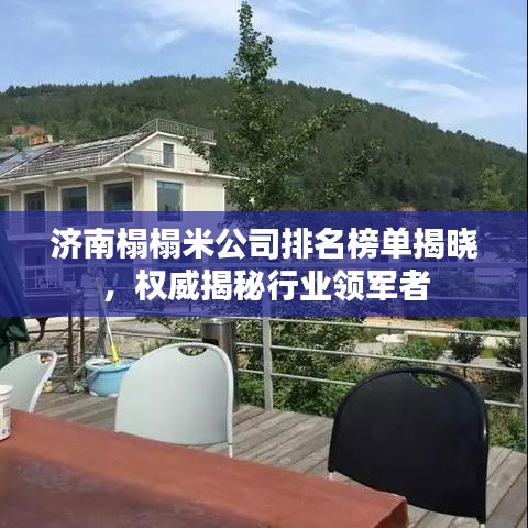 济南榻榻米公司排名榜单揭晓，权威揭秘行业领军者