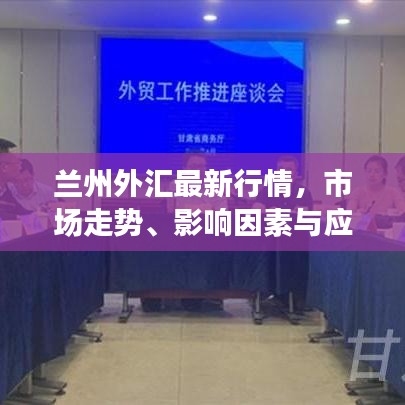 兰州外汇最新行情，市场走势、影响因素与应对策略揭秘
