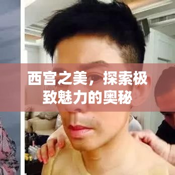 西宫之美，探索极致魅力的奥秘