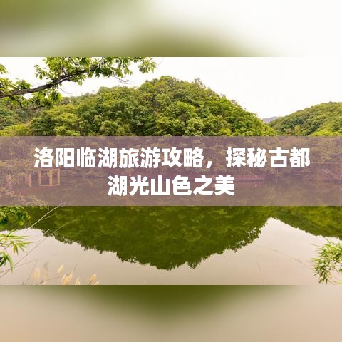 洛阳临湖旅游攻略，探秘古都湖光山色之美