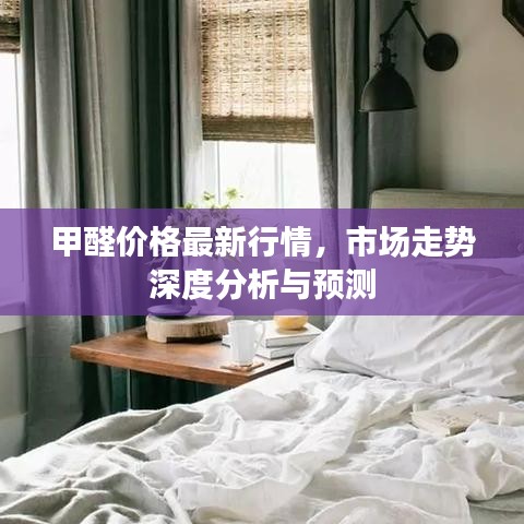 甲醛价格最新行情，市场走势深度分析与预测