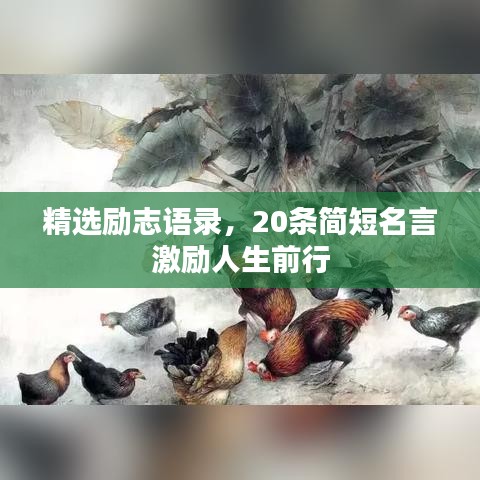 精选励志语录，20条简短名言激励人生前行