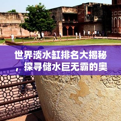 世界淡水缸排名大揭秘，探寻储水巨无霸的奥秘