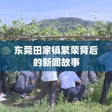 东莞田家镇繁荣背后的新闻故事