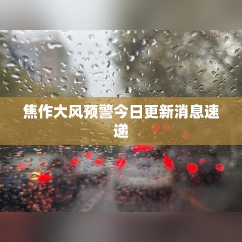 焦作大风预警今日更新消息速递