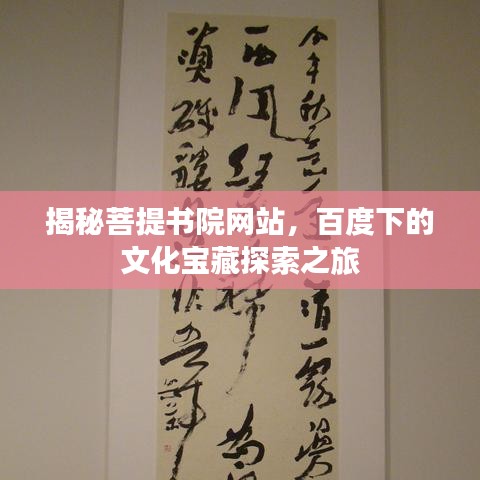 揭秘菩提书院网站，百度下的文化宝藏探索之旅