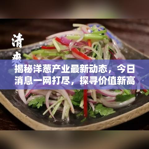 揭秘洋葱产业最新动态，今日消息一网打尽，探寻价值新高度！