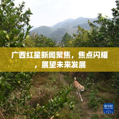 广西红星新闻聚焦，焦点闪耀，展望未来发展