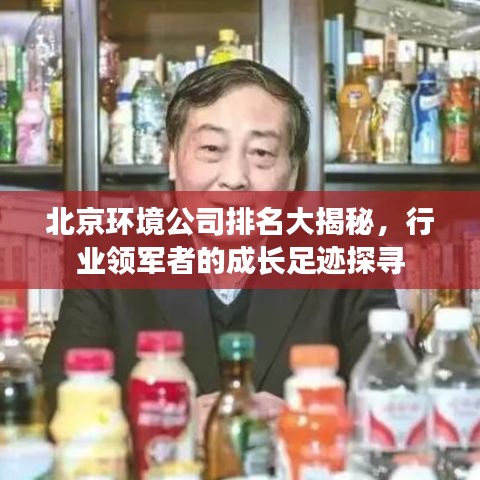 北京环境公司排名大揭秘，行业领军者的成长足迹探寻