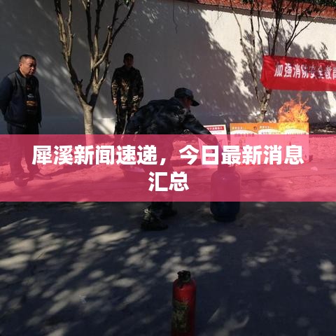 犀溪新闻速递，今日最新消息汇总