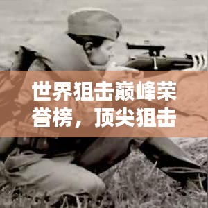 世界狙击巅峰荣誉榜，顶尖狙击手的实力与荣耀排行！