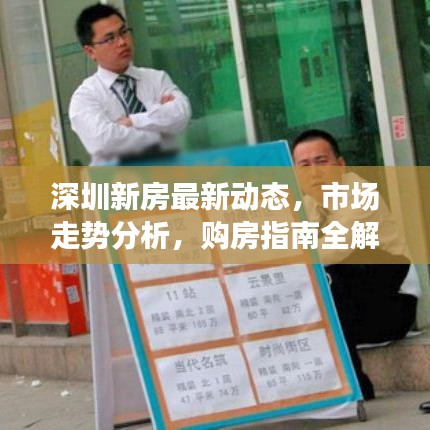 深圳新房最新动态，市场走势分析，购房指南全解析