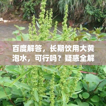 百度解答，长期饮用大黄泡水，可行吗？疑惑全解！