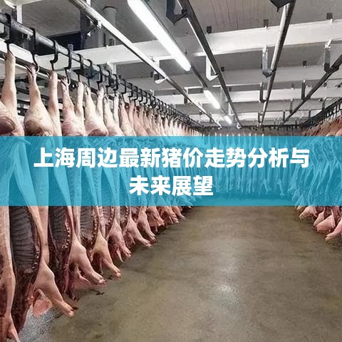 上海周边最新猪价走势分析与未来展望