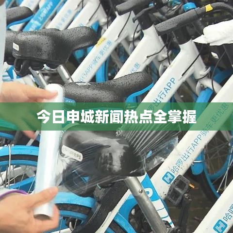 今日申城新闻热点全掌握