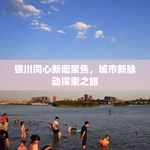 银川同心新闻聚焦，城市新脉动探索之旅