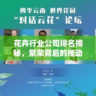 花卉行业公司排名揭秘，繁荣背后的推动力与实力比拼！
