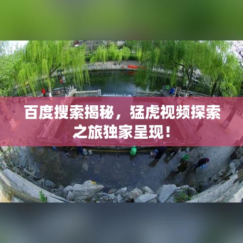 百度搜索揭秘，猛虎视频探索之旅独家呈现！