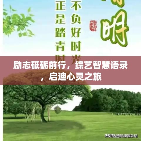 励志砥砺前行，综艺智慧语录，启迪心灵之旅